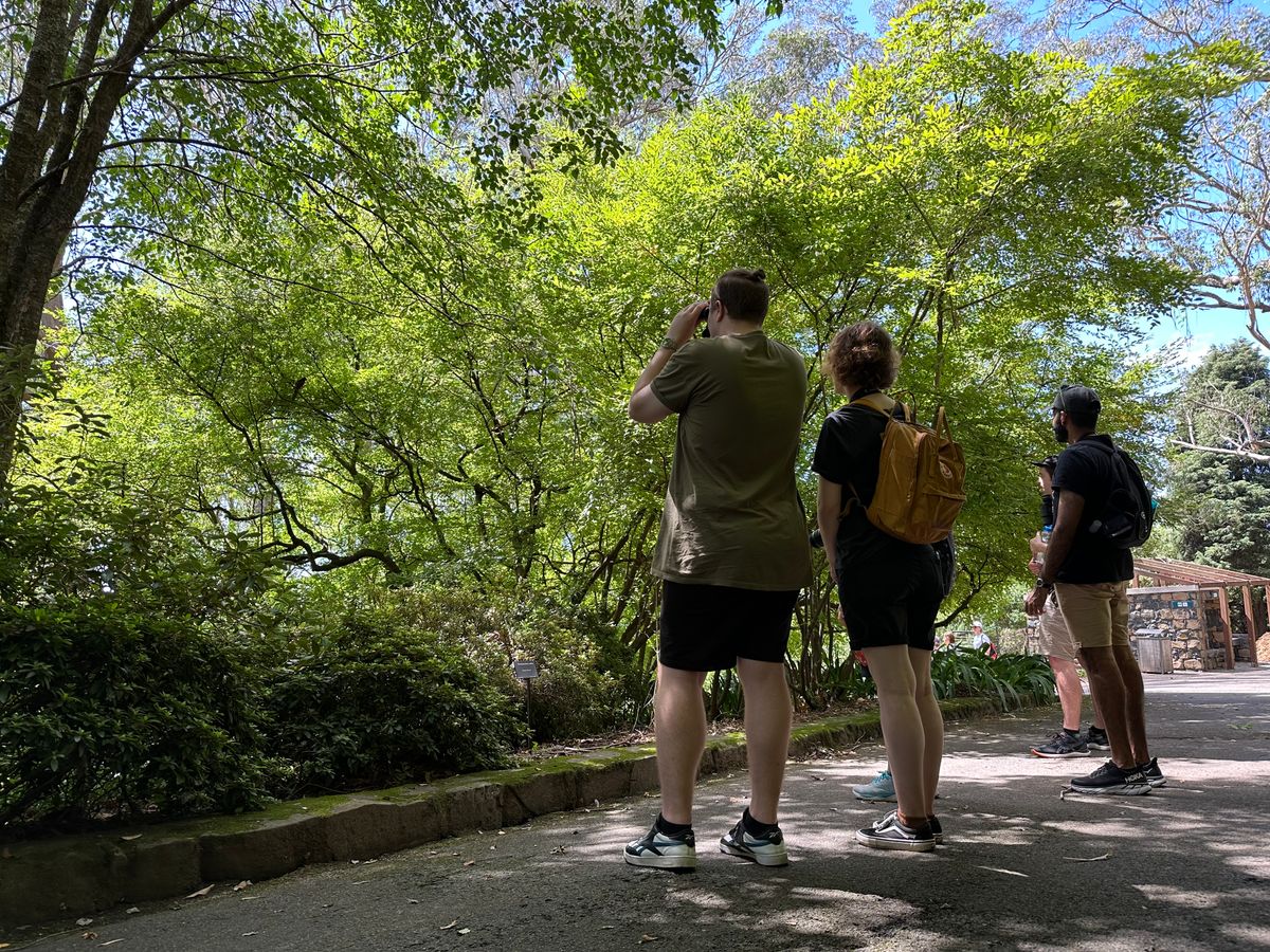 Blue Mountains Botanic Garden